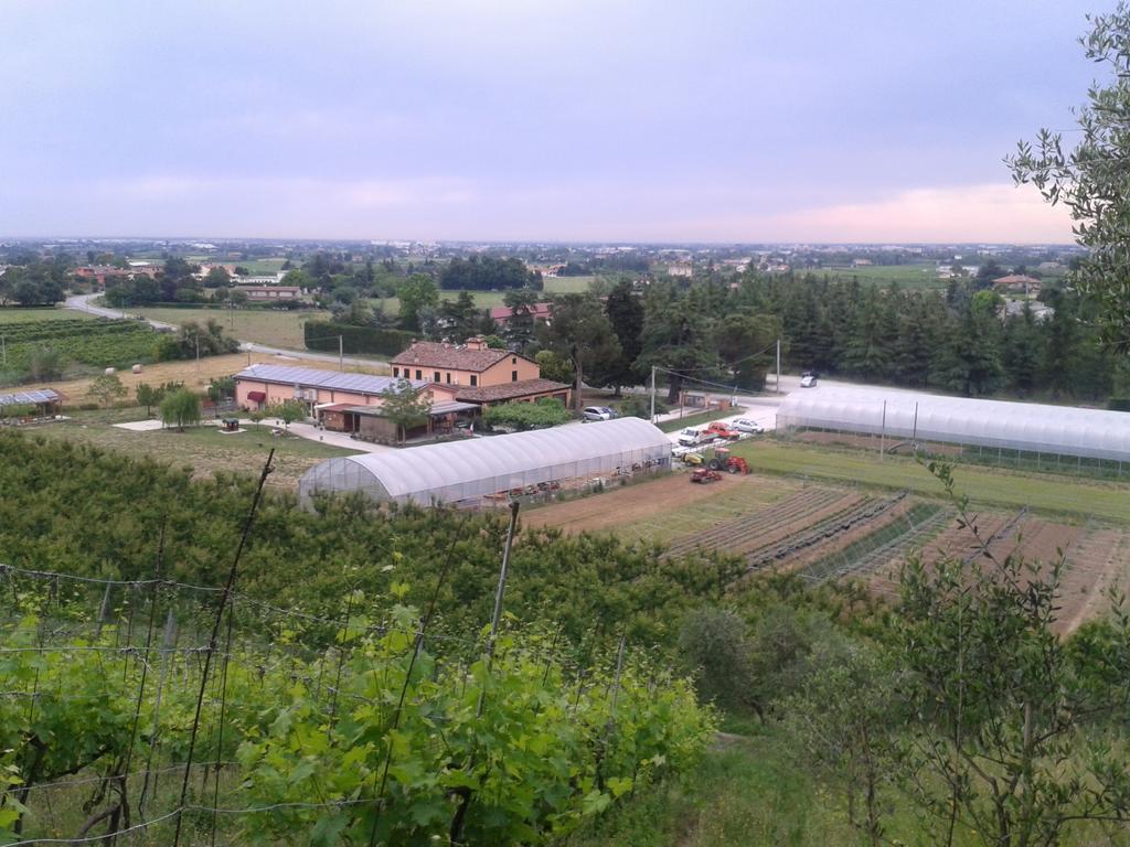 Bed and Breakfast Agriturismo Perugini Cesena Exterior foto